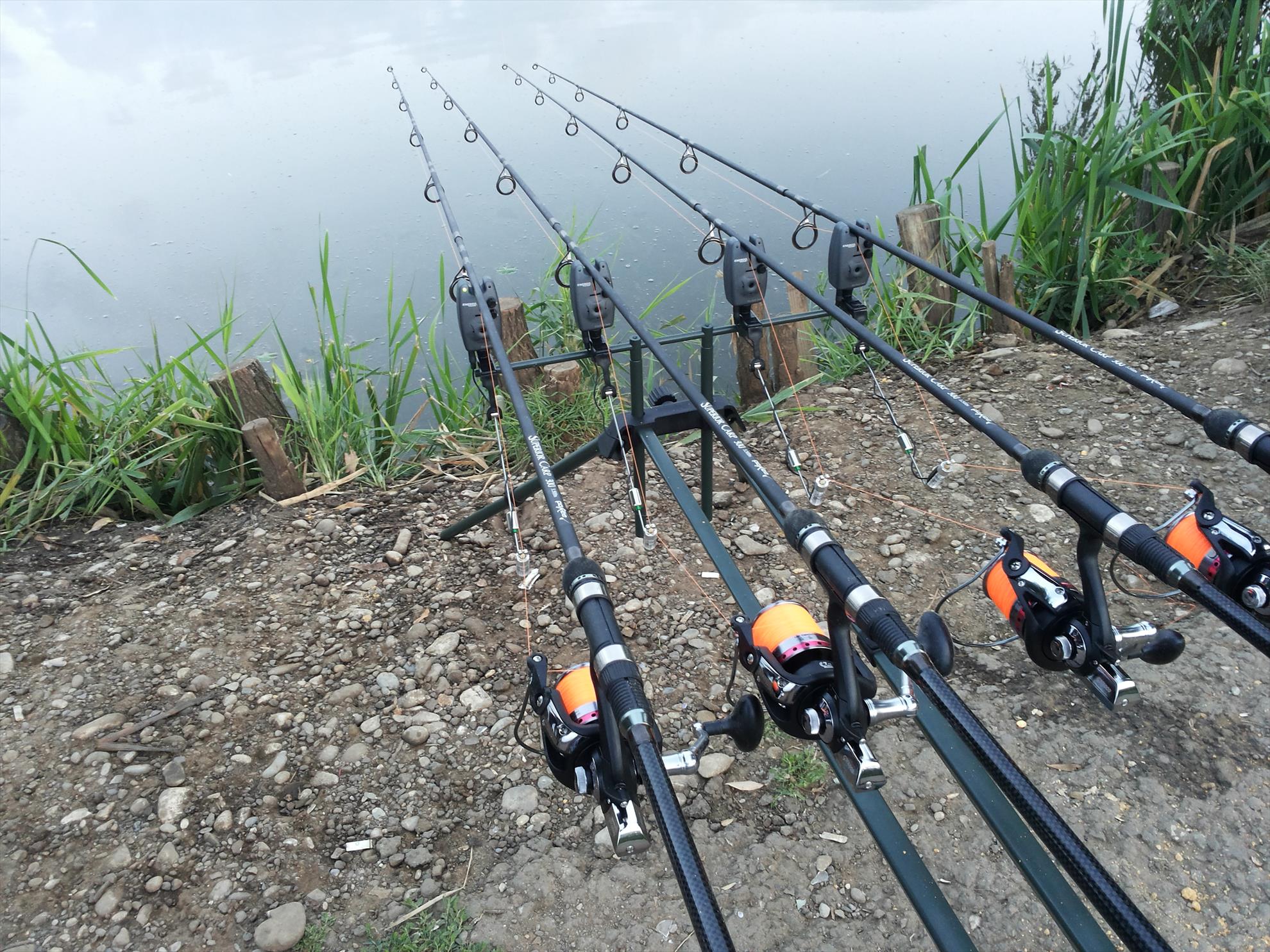 Paulesti' 2013 - 20130629054250.jpg